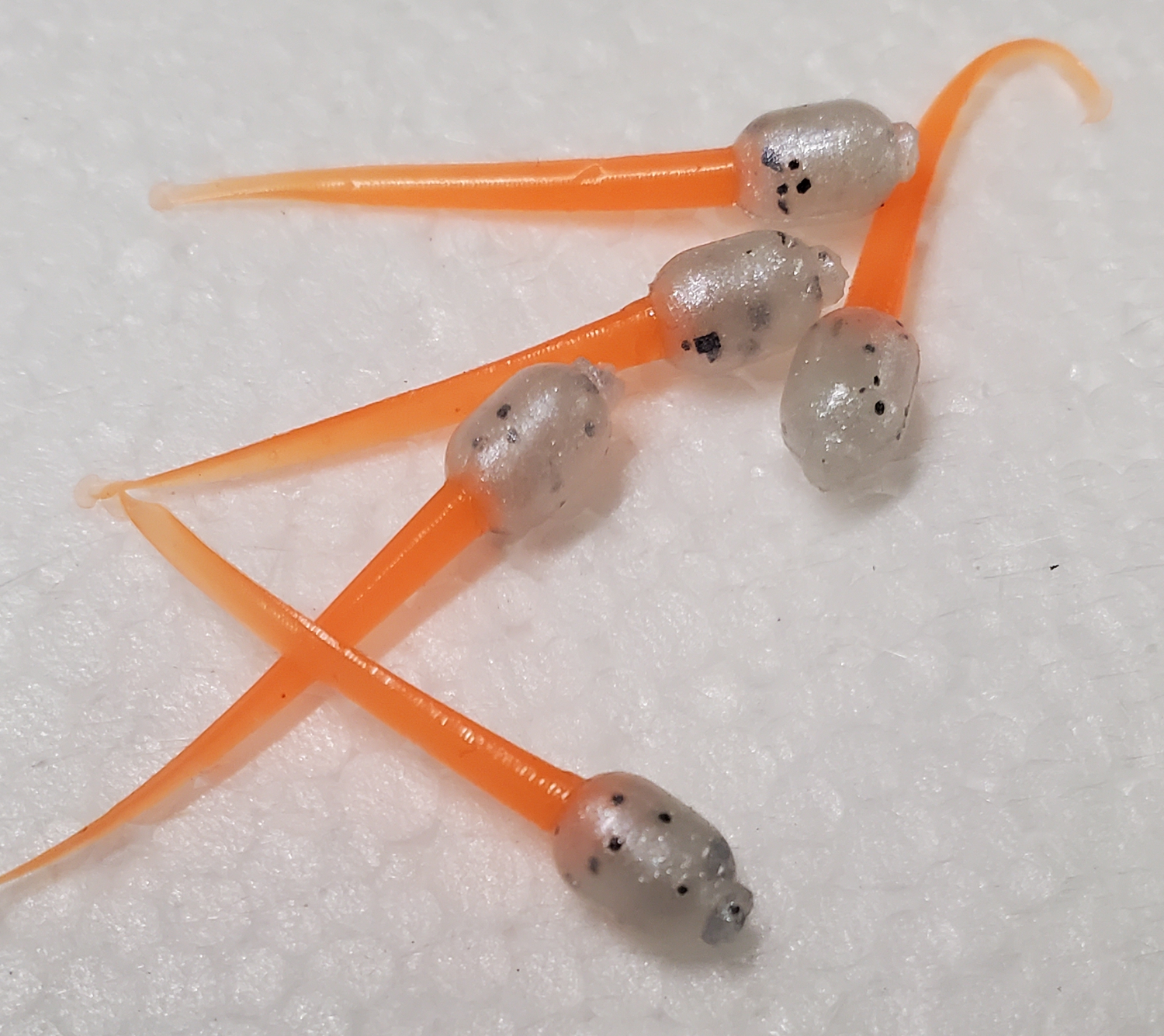 Ice Stingers.  1.5"   (15pck)